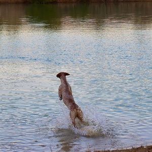 Meet your Posher, Nathan